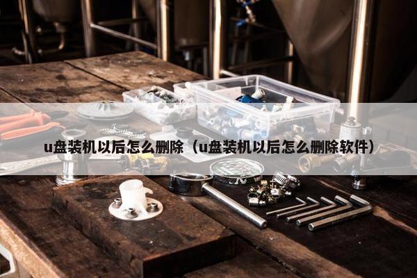 u盘装机以后怎么删除（u盘装机以后怎么删除软件）