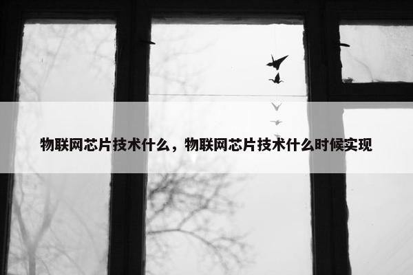 物联网芯片技术什么，物联网芯片技术什么时候实现