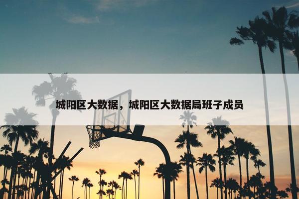 城阳区大数据，城阳区大数据局班子成员