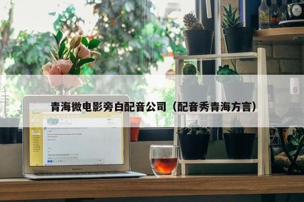 青海微电影旁白配音公司（配音秀青海方言）