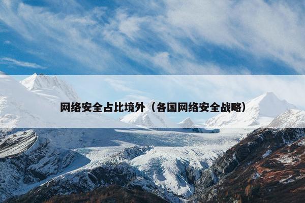 网络安全占比境外（各国网络安全战略）