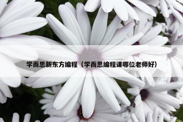 学而思新东方编程（学而思编程课哪位老师好）