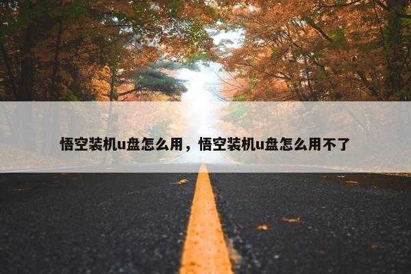 悟空装机u盘怎么用，悟空装机u盘怎么用不了