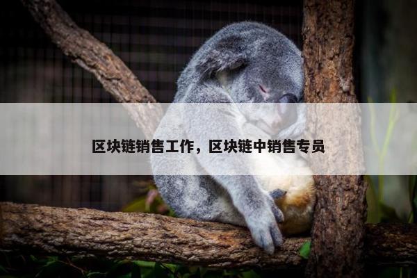 区块链销售工作，区块链中销售专员