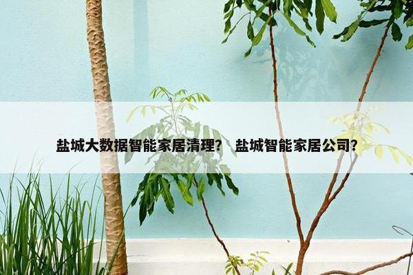 盐城大数据智能家居清理？ 盐城智能家居公司？