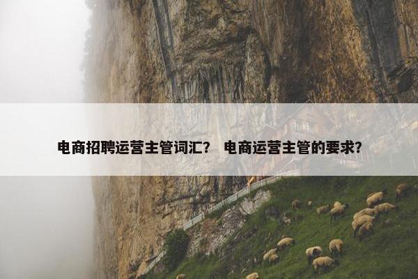 电商招聘运营主管词汇？ 电商运营主管的要求？