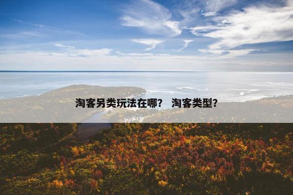 淘客另类玩法在哪？ 淘客类型？