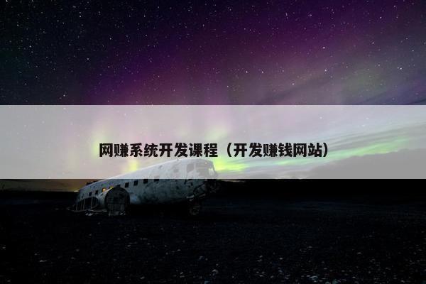 网赚系统开发课程（开发赚钱网站）