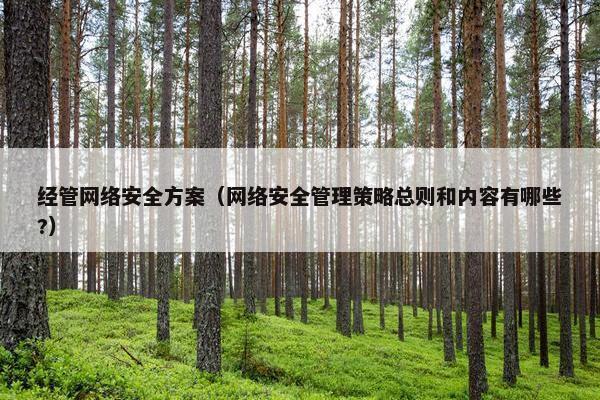 经管网络安全方案（网络安全管理策略总则和内容有哪些?）