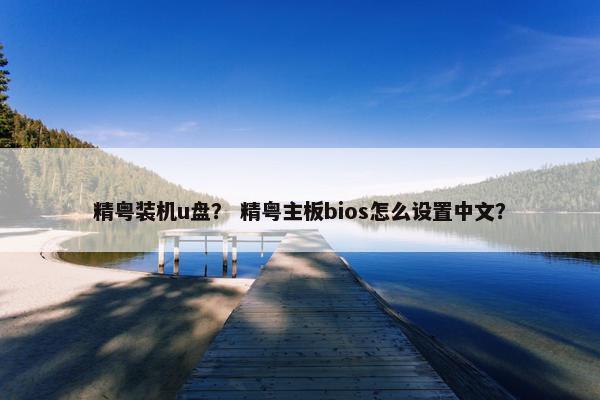 精粤装机u盘？ 精粤主板bios怎么设置中文？