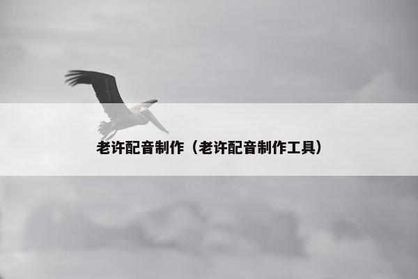 老许配音制作（老许配音制作工具）