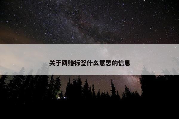 关于网赚标签什么意思的信息