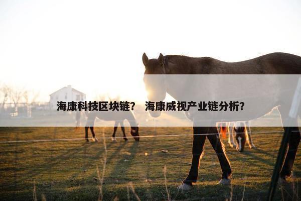 海康科技区块链？ 海康威视产业链分析？