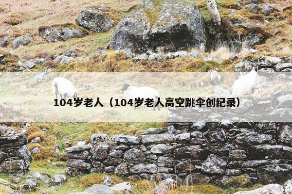 104岁老人（104岁老人高空跳伞创纪录）