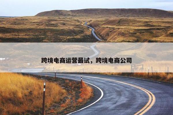 跨境电商运营最试，跨境电商公司