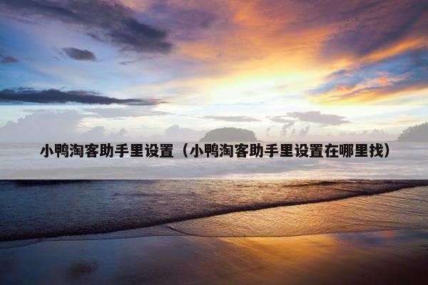 小鸭淘客助手里设置（小鸭淘客助手里设置在哪里找）