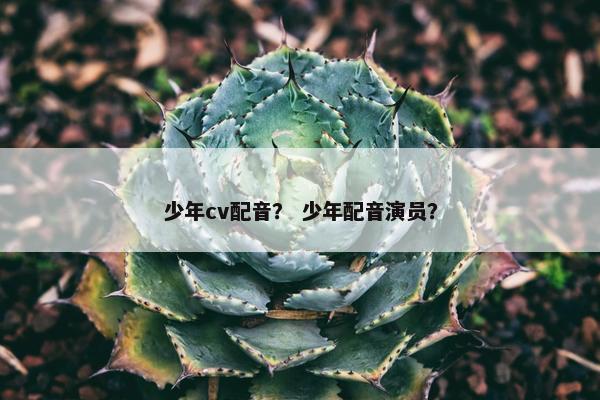 少年cv配音？ 少年配音演员？