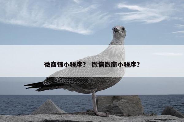 微商铺小程序？ 微信微商小程序？