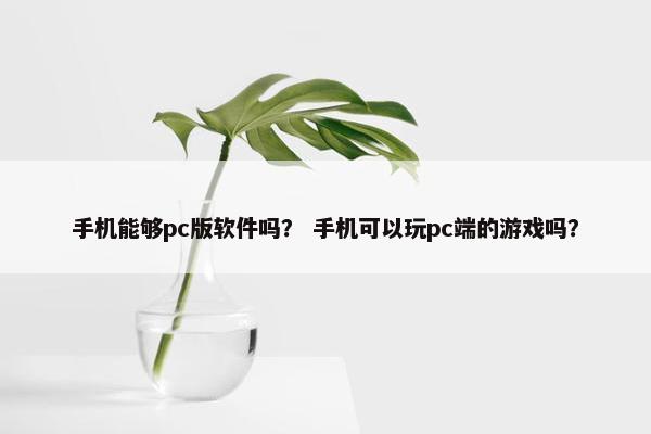 手机能够pc版软件吗？ 手机可以玩pc端的游戏吗？