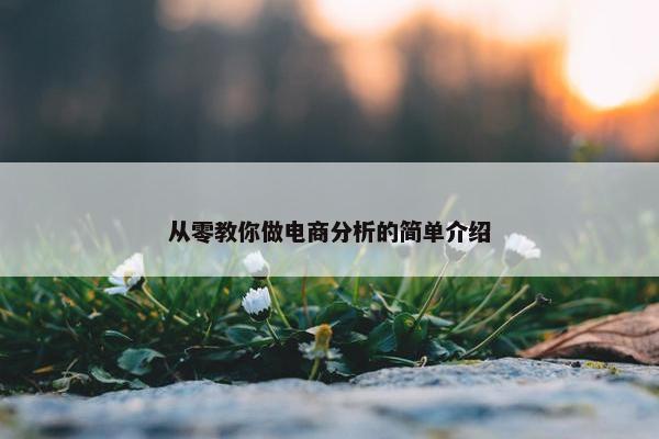 从零教你做电商分析的简单介绍
