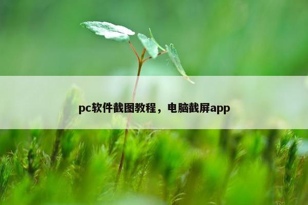pc软件截图教程，电脑截屏app