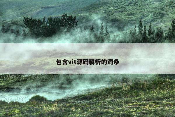 包含vit源码解析的词条
