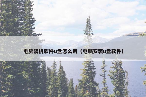 电脑装机软件u盘怎么用（电脑安装u盘软件）