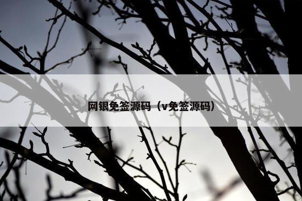 网银免签源码（v免签源码）