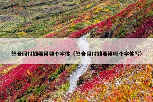 签合同付钱要用哪个字体（签合同付钱要用哪个字体写）