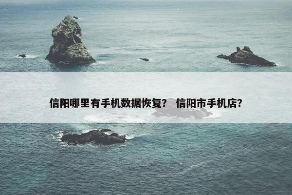信阳哪里有手机数据恢复？ 信阳市手机店？