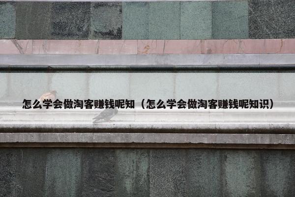 怎么学会做淘客赚钱呢知（怎么学会做淘客赚钱呢知识）