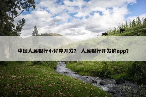 中国人民银行小程序开发？ 人民银行开发的app？