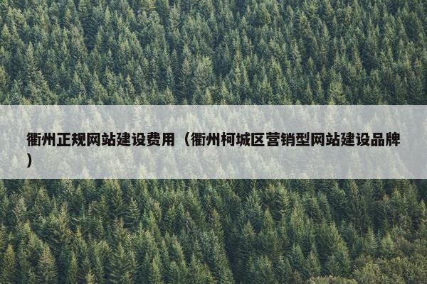 衢州正规网站建设费用（衢州柯城区营销型网站建设品牌）
