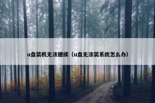 u盘装机无法继续（u盘无法装系统怎么办）