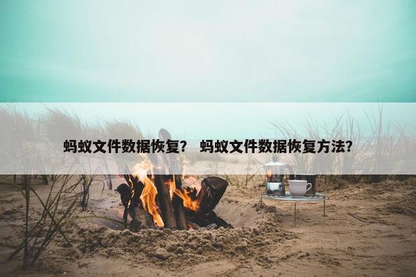 蚂蚁文件数据恢复？ 蚂蚁文件数据恢复方法？