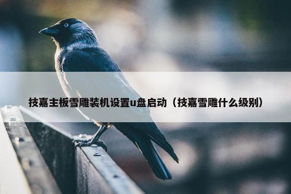 技嘉主板雪雕装机设置u盘启动（技嘉雪雕什么级别）