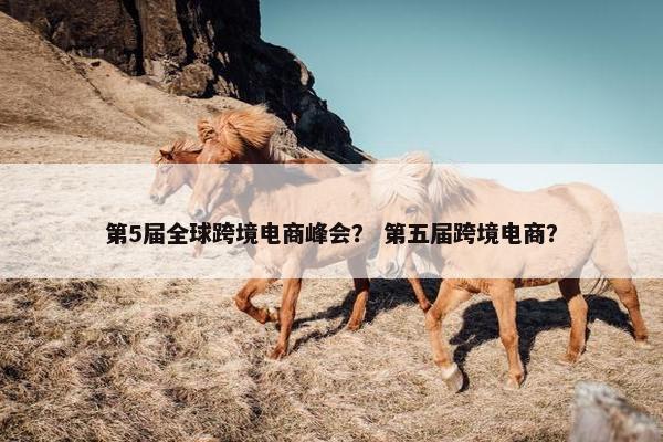 第5届全球跨境电商峰会？ 第五届跨境电商？