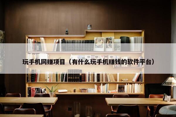 玩手机网赚项目（有什么玩手机赚钱的软件平台）