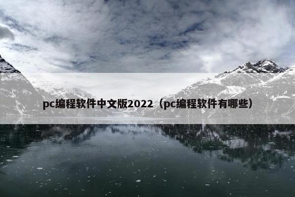 pc编程软件中文版2022（pc编程软件有哪些）