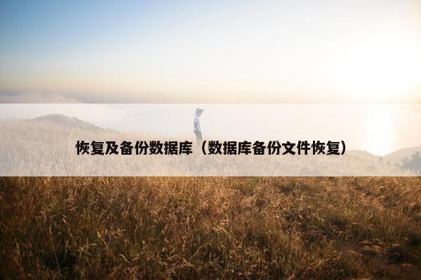 恢复及备份数据库（数据库备份文件恢复）