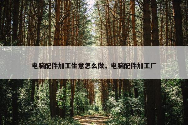 电脑配件加工生意怎么做，电脑配件加工厂