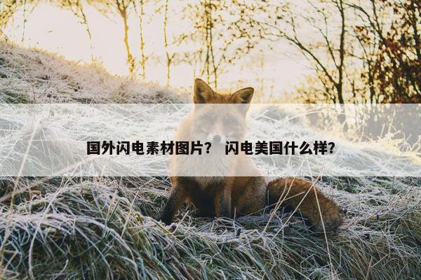 国外闪电素材图片？ 闪电美国什么样？
