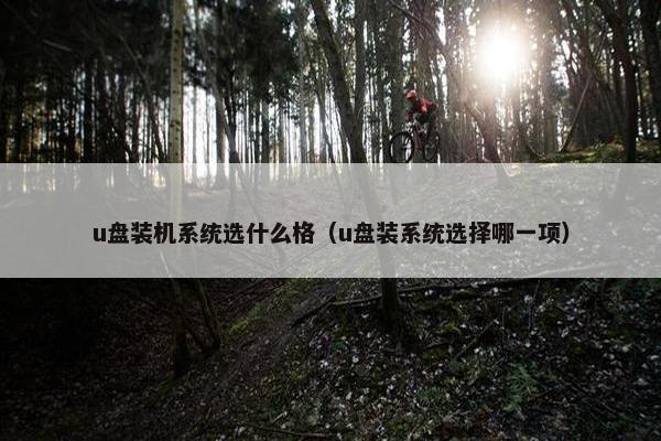 u盘装机系统选什么格（u盘装系统选择哪一项）