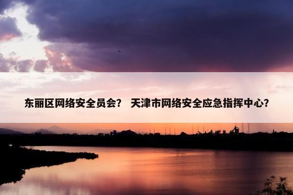 东丽区网络安全员会？ 天津市网络安全应急指挥中心？