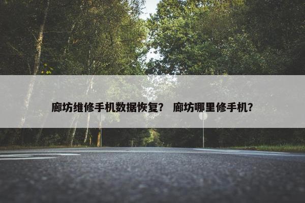 廊坊维修手机数据恢复？ 廊坊哪里修手机？