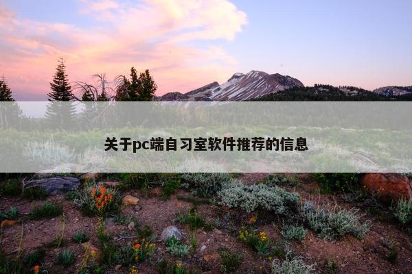 关于pc端自习室软件推荐的信息