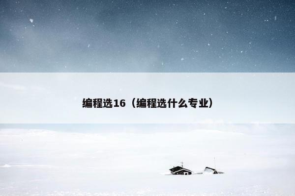 编程选16（编程选什么专业）