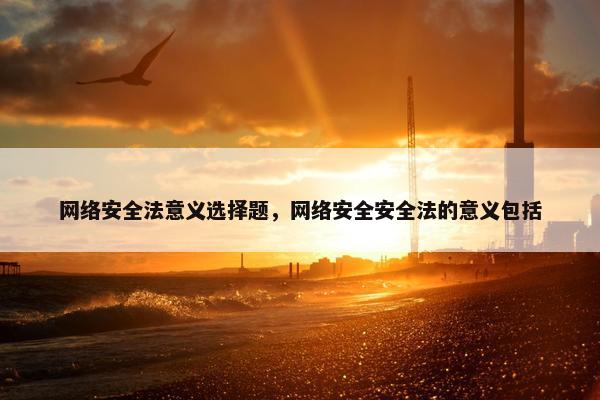 网络安全法意义选择题，网络安全安全法的意义包括