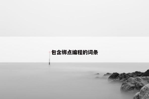 包含绑点编程的词条