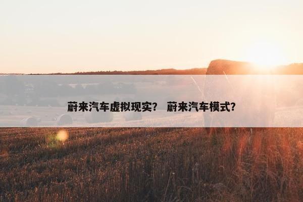 蔚来汽车虚拟现实？ 蔚来汽车模式？